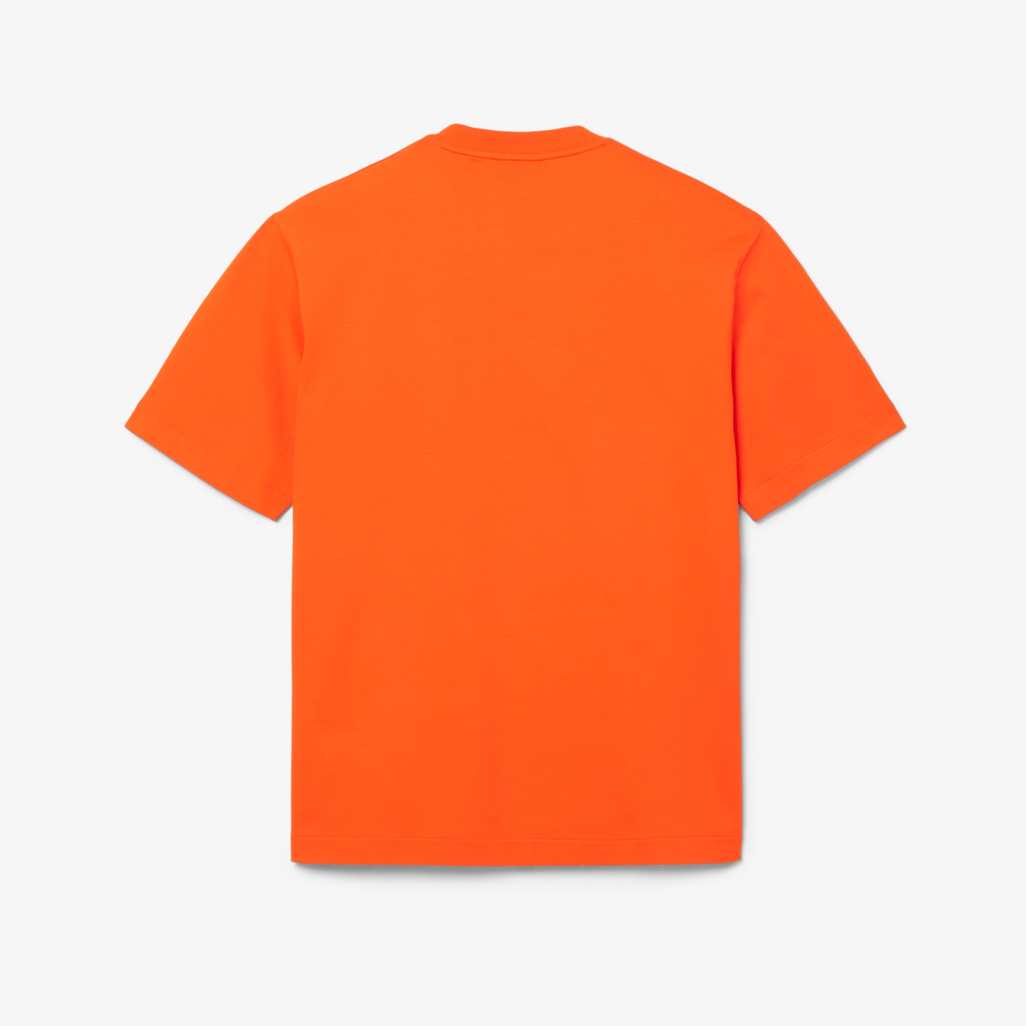 『SS26 Fashion Show』 テクスチャーボーダージャージTシャツ