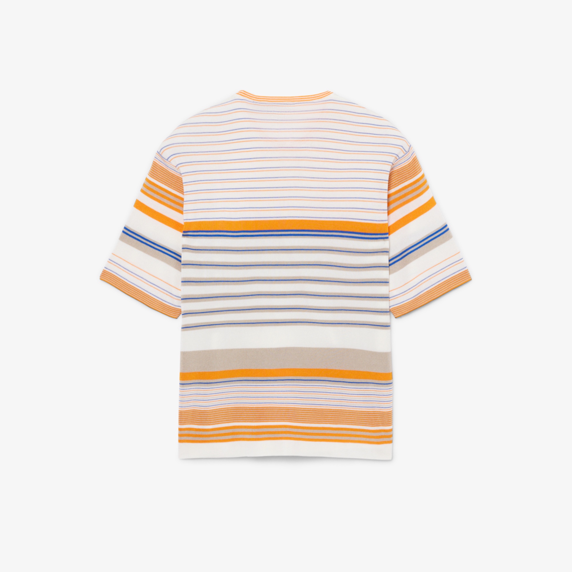 『SS26 Fashion Show』 マルチボーダーレーヨンジャージTシャツ