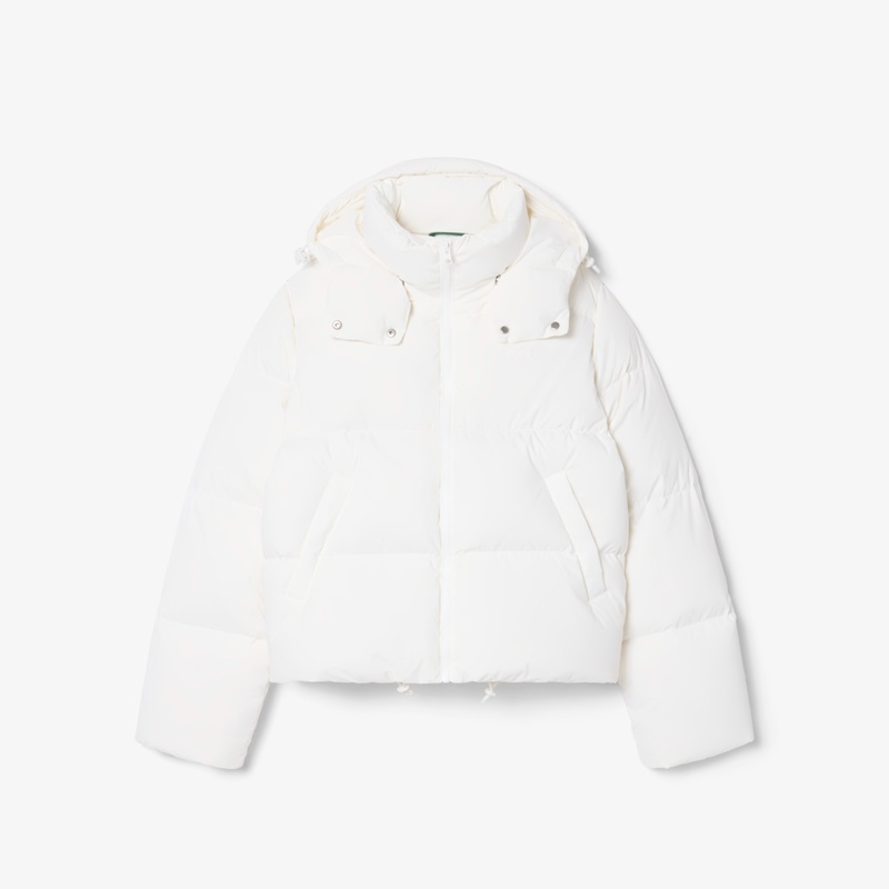 撥水フーデッドダウンジャケット BF5367 - ラコステ（LACOSTE）公式