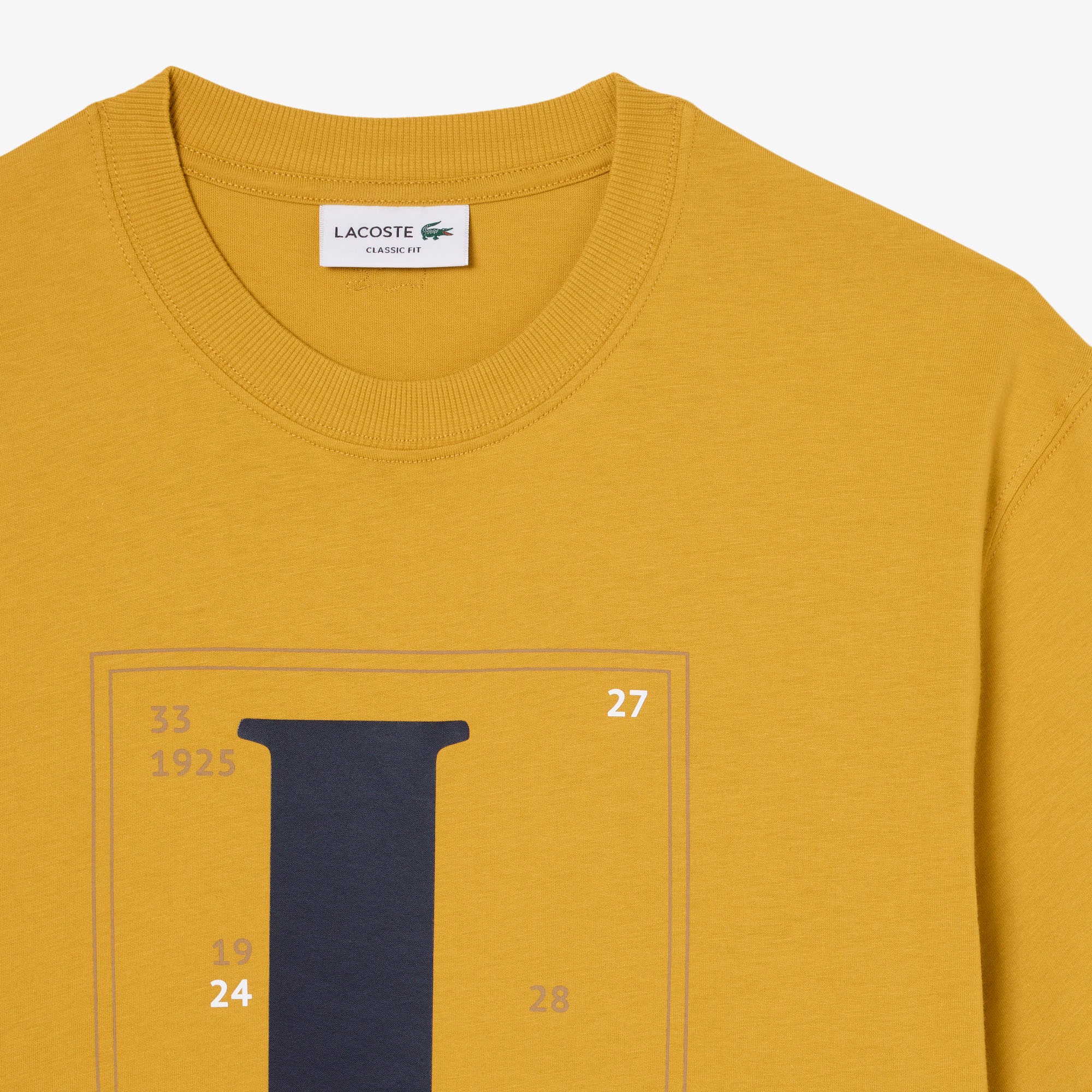 ビッグLグラフィックTシャツ